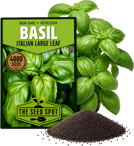 000 basil seeds - 4,000+,