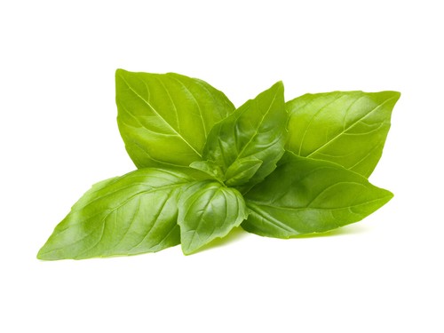 200 lemon basil seeds - 200,